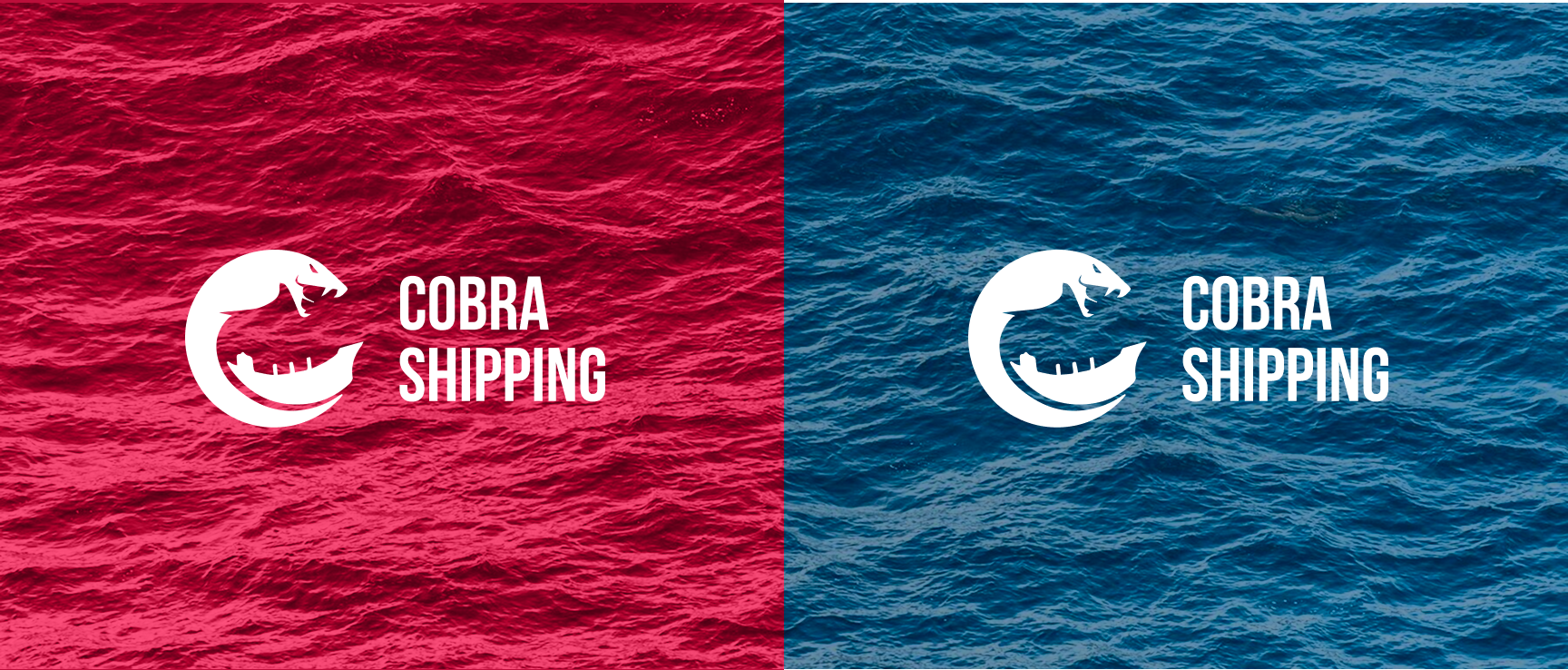 Cobra Shipping Cover